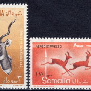 1958 Animali (Fil. Stelle I°)