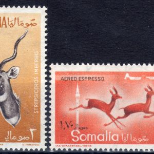 1958 Animali (Fil. Stelle I°)